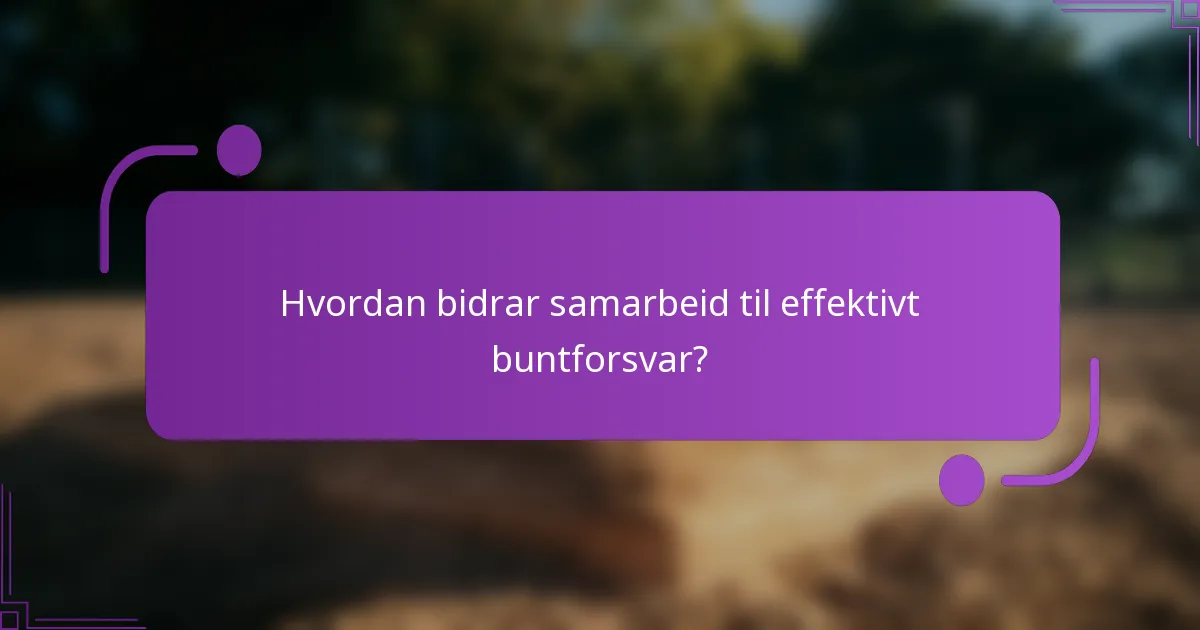 Hvordan bidrar samarbeid til effektivt buntforsvar?